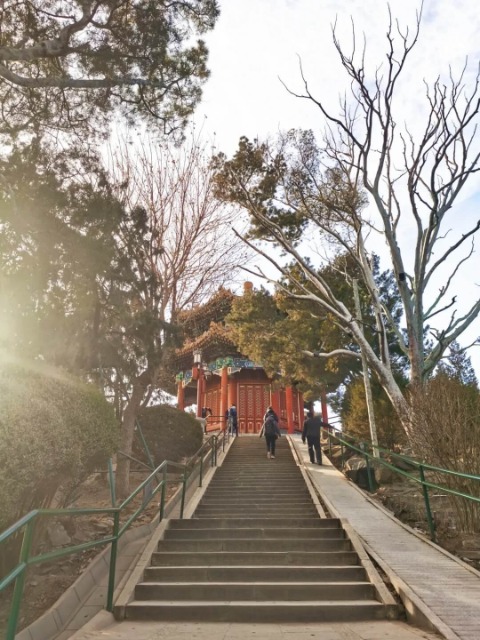 Tourists are climbing up the stairs to Jingshan Park.