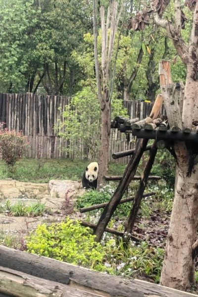 The Adventure Valley area at Chengdu Panda Base.