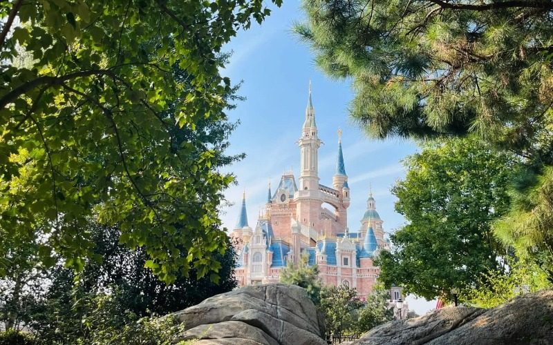 Looking through the leaves, you can see the iconic castle of Shanghai Disneyland in the distance.