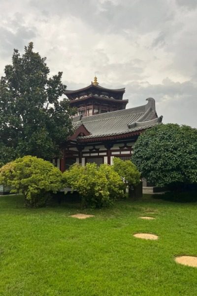 Apricot Garden at Tang Paradise, Xi'an