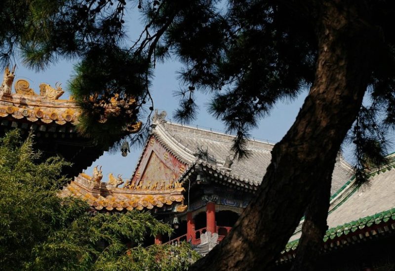 Watching the rooftops of Yonghe Temple from beneath the shade of the trees.