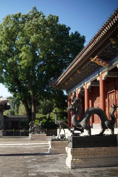 The bronze statues in front of the Hall of Benevolence and Longevity include two each of the bronze qilin, phoenix, dragon, and tripod-style incense burner