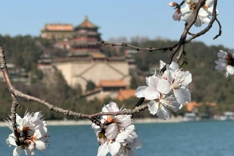 In spring, the flowers bloom at the Summer Palace in Beijing.