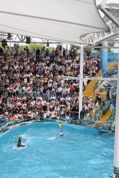 Sea Lion Theater at Shanghai Wild Animal Park