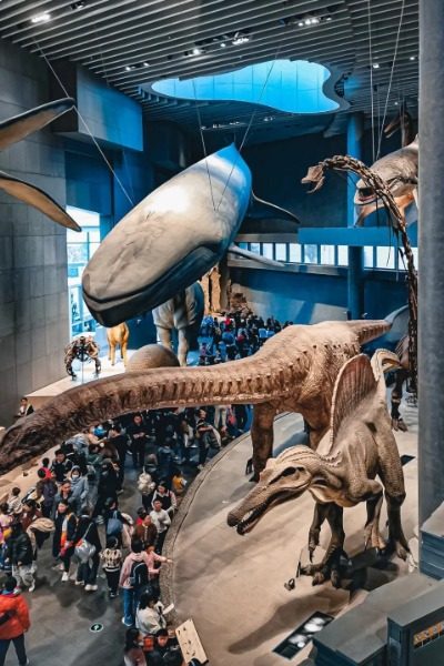 Dinosaur Exhibits at Shanghai Natural History Museum