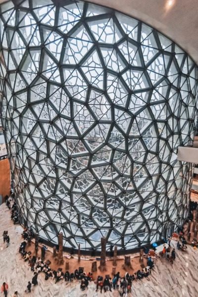 Popular Museums in Shanghai: Shanghai Natural History Museum