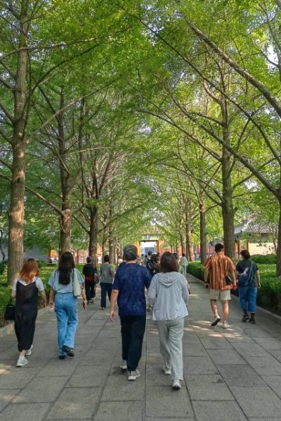 Many visitors stroll along the shaded pathways of Yonghe Temple.