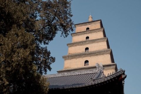 View 1-Big Wild Goose Pagoda-Xi'an