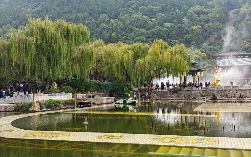 Willow Trees in Huaqing Palace, Xi'an