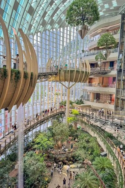 The atrium of the Ring Mall in Chongqing has many trees.