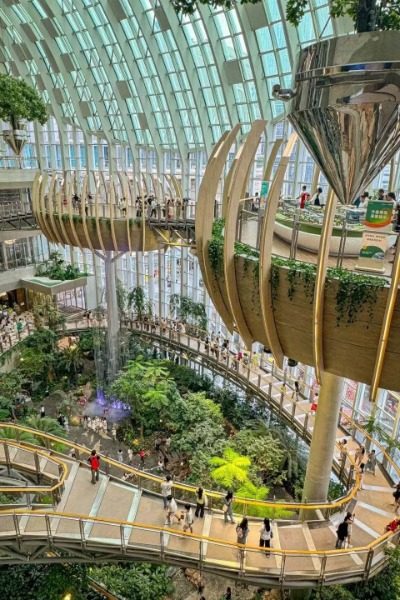 Many tourists are admiring the botanical garden inside the Ring Mall in Chongqing.