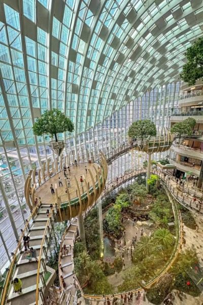 Inside the Ring Mall in Chongqing, there are many "floating" trees and small islands.