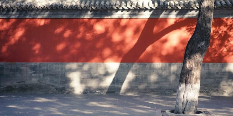 Sunlight shines on the traditional red walls lining the path.