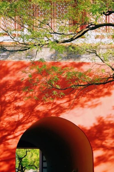 The spring sunlight casts the shadows of the branches onto the red walls of Beijing.